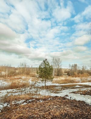 Снег теперь уже не тот - слушать стихотворение Маршака онлайн